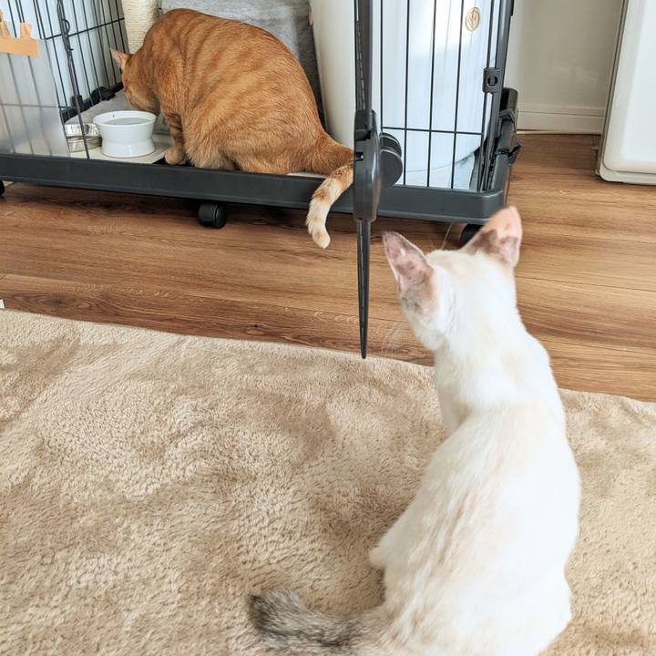 Ae0e891a 3bae 4fc5 b239 83b0e3304bb0 1690360383354