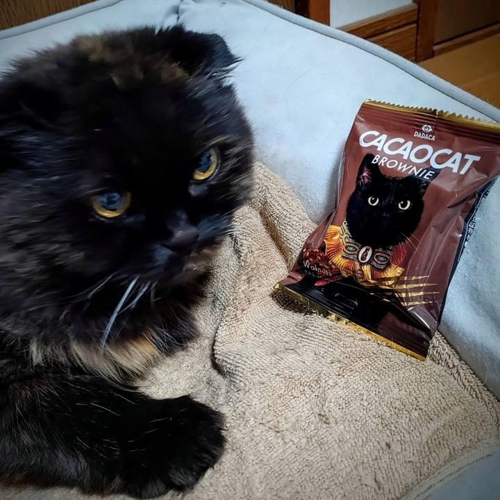 Ae0e8c38 c80e 4a9e 842e a7f89f456934 1764156746673