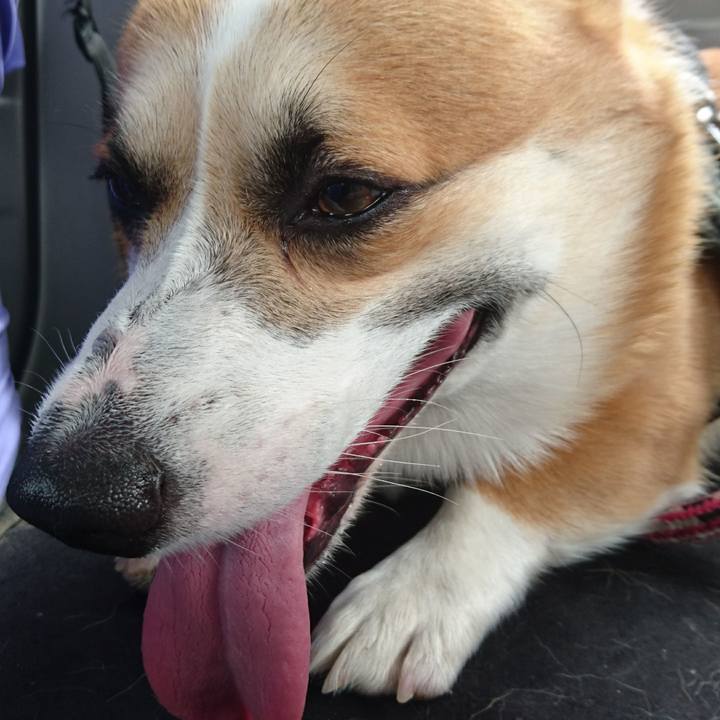 Ae0e983d aead 490a a37e dd6dc7836416 1632023313924