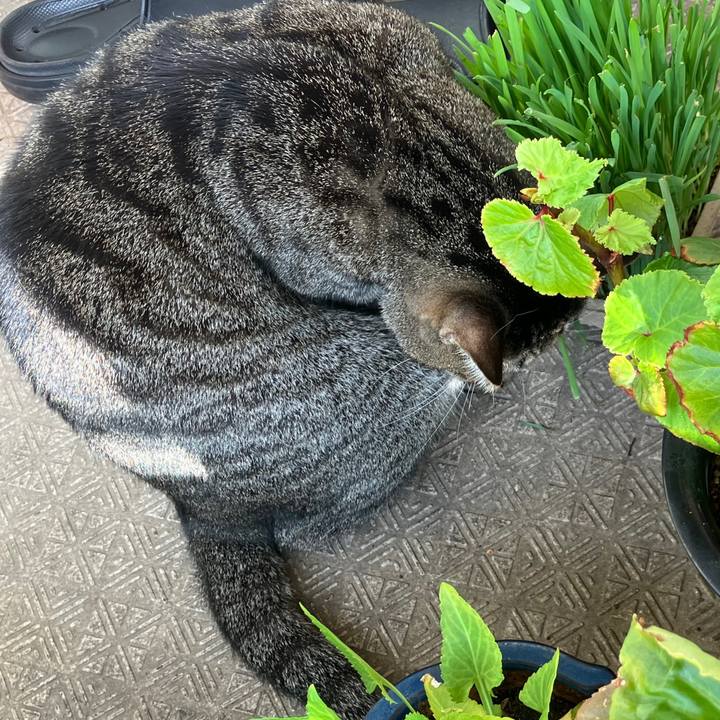 Ae0e9c8a ce3f 4cdc b6a0 1d285abbeb52 1760831746699