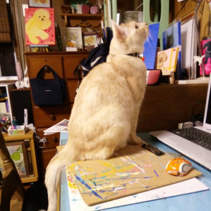 Ae0ef654 8014 4eb9 b534 7f6529f402fc 1512740927367