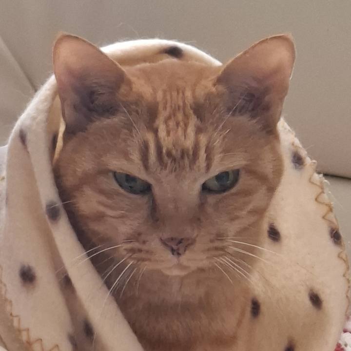 Ae0f1eaf 3712 49a8 ac22 8ee87756d68f 1730681147743