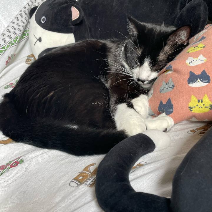 Ae0f2dc8 39b3 4278 8185 4f5f446946d3 1673582631969