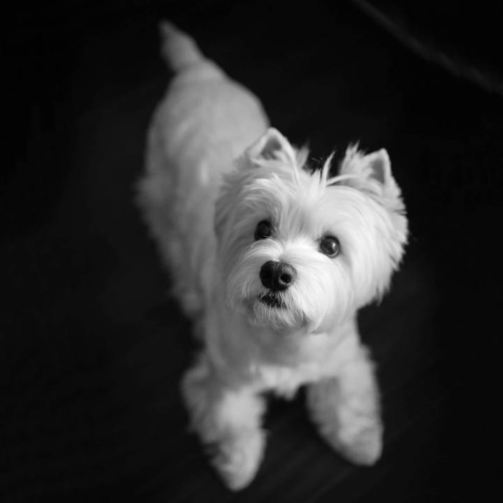 Ae0f40f4 f0a7 4024 945b 5db1ea59ea5d 1535429011701