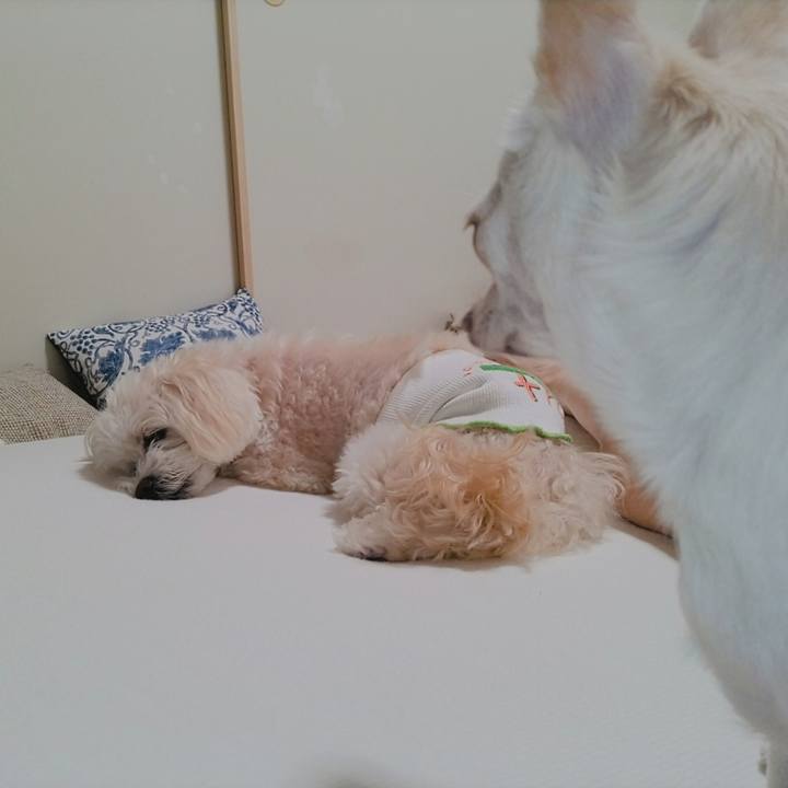 Ae0f6660 402c 43e0 9806 93e082ec6684 1722132570261