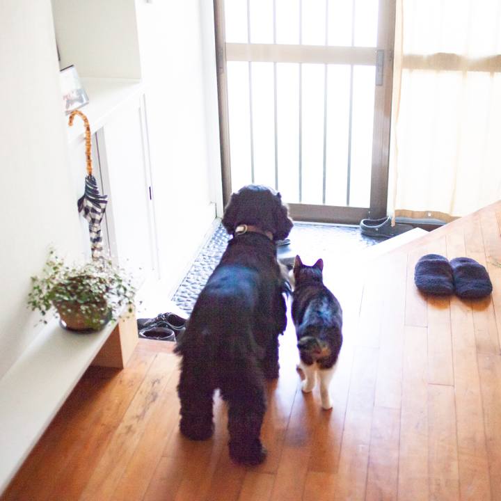 Ae0f6bda df35 465c 8adb 0a4d632cff1a 1549111050528