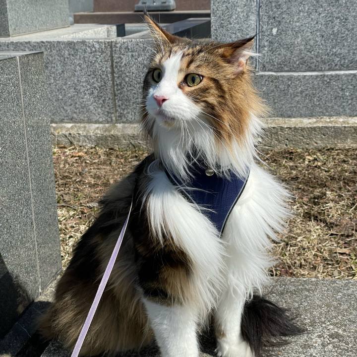 Ae0f71be a452 4bf8 b62e 204f46fcb073 1679198910373