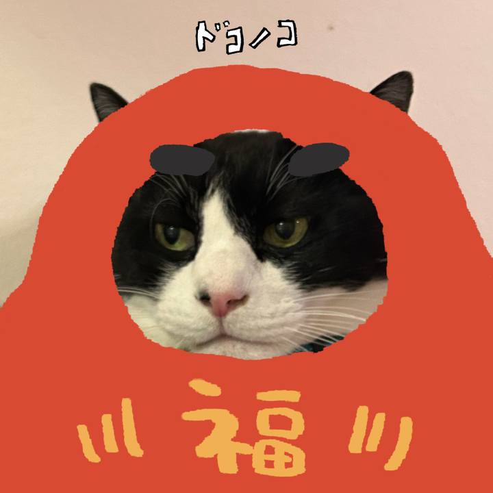 Ae0f7520 c152 4669 b240 a5dc547a5ae6 1771822748768