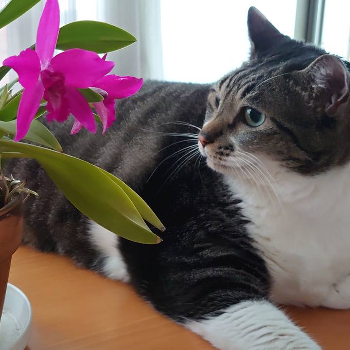 Ae0f8236 b008 45b0 a224 bd800adf2826 1627168159867