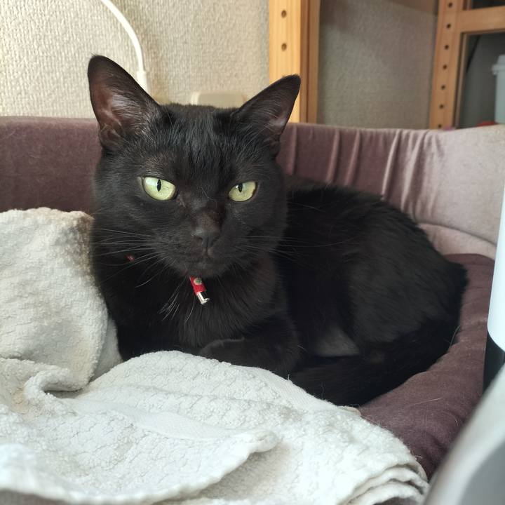 Ae0f85b5 f2f2 4fbc 98f6 4eb1fb346623 1645833997264