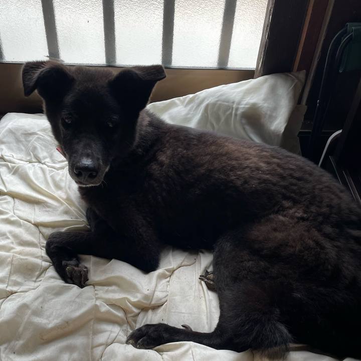 Ae0fb2c9 059f 4772 8f55 abd5f7edf358 1723794970342