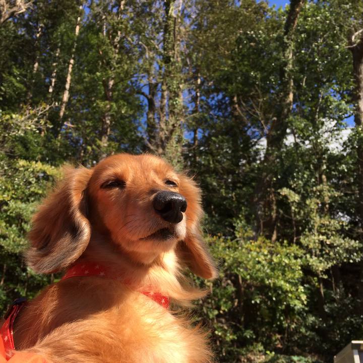 Ae0fb4c7 fcfc 4256 abe4 47c4b72208ad 1584714537922