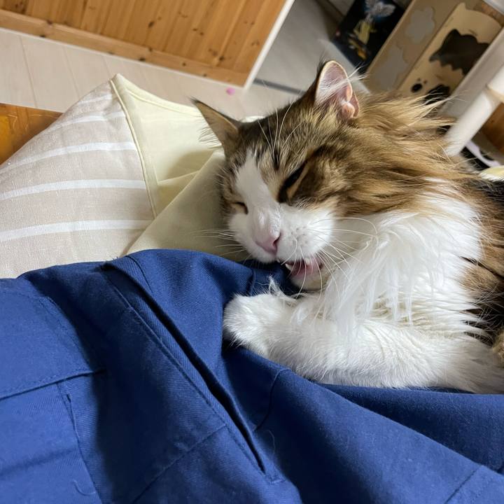 Ae0fd1ce 726e 4cf5 8c85 55dfa2cb8868 1678013565709