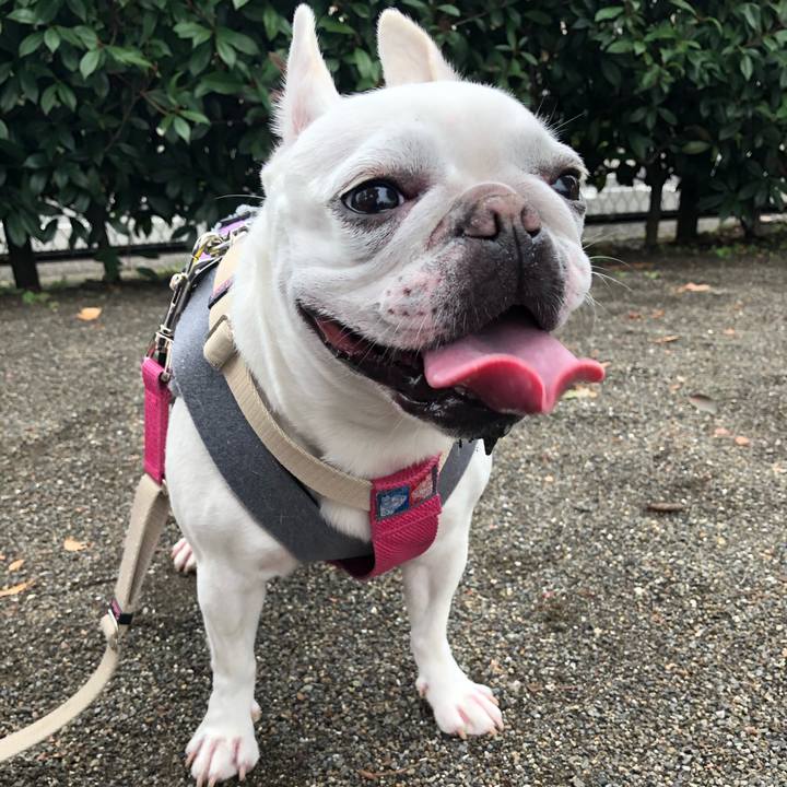 Ae0fd400 2efa 4b2b 881d ba9b41985319 1574572178876