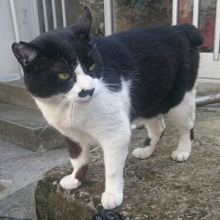 Ae10396e cdf7 406d bb40 c7fe13618a84 1524973988838