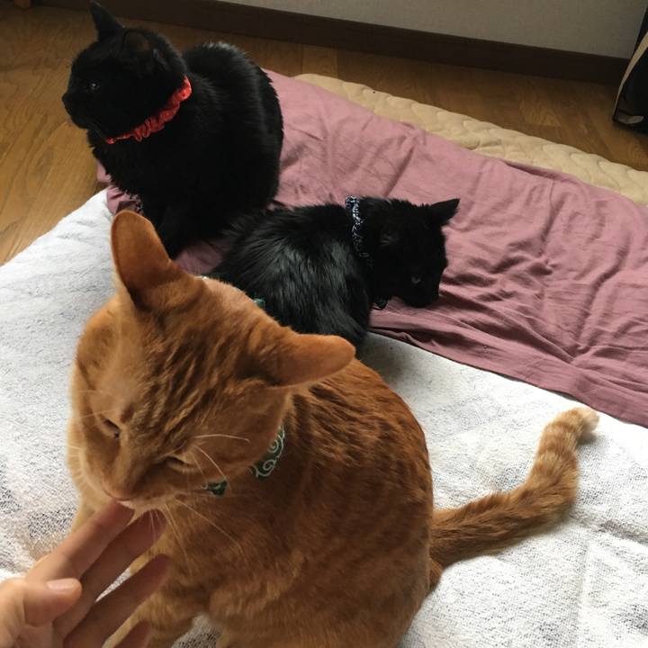 Ae104662 527c 443a 8efc 8d7ff6912ba1 1548543270961