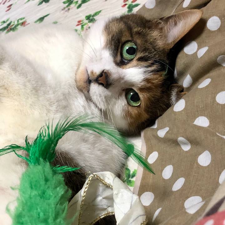 Ae1046c8 04de 4de0 bf32 8d9aa47ecd75 1581430742605