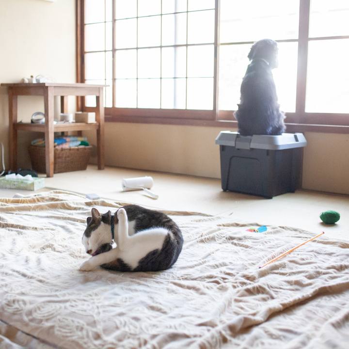 Ae10b3e2 6a57 4eda ba15 8f66aadd1d50 1572482172049