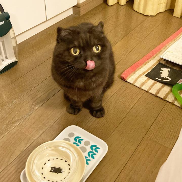 Ae1110a8 a025 4a2b aa8d fabafad2c092 1614355039294