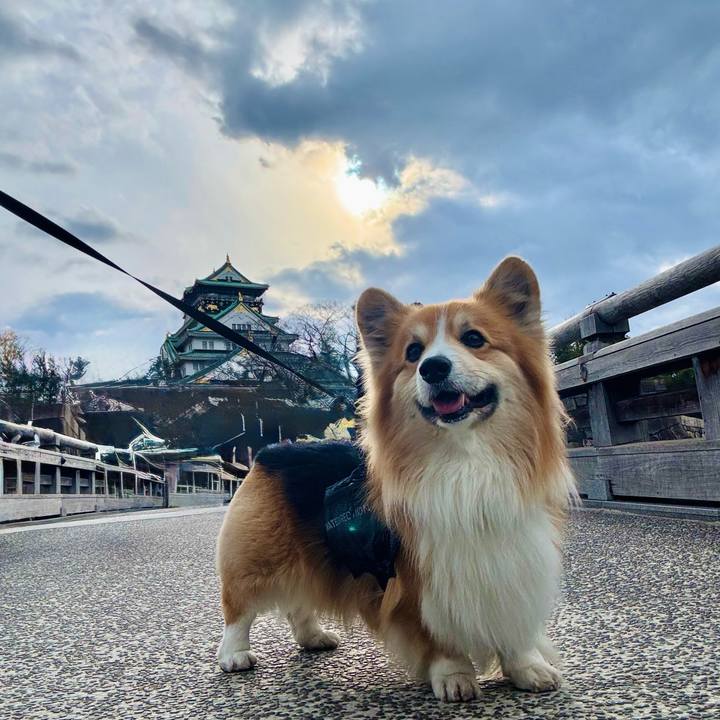 Ae111b31 47d7 4483 a4ca c82fb1b262d9 1767448554271