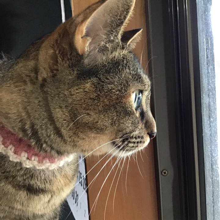 Ae112373 f2ab 495e 8a9e 64ae91aba5c9 1659693404942