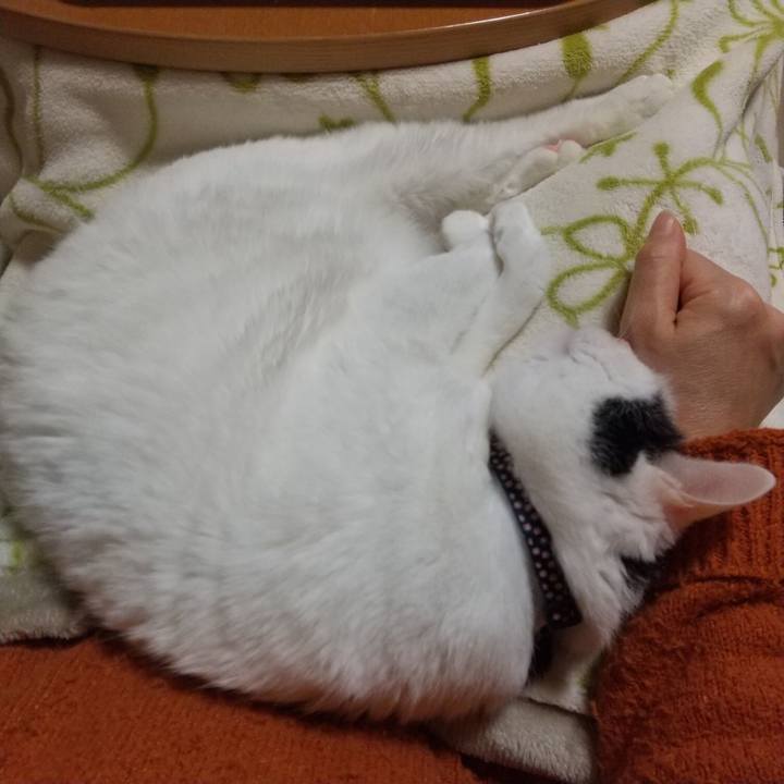 Ae112b30 219d 466c 8eaa 7cdd1c96c037 1606129791700