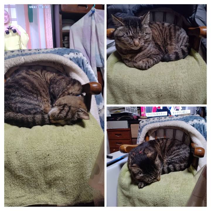 Ae115e12 db8e 4a7d 80de 8f910353e9bf 1683506513861