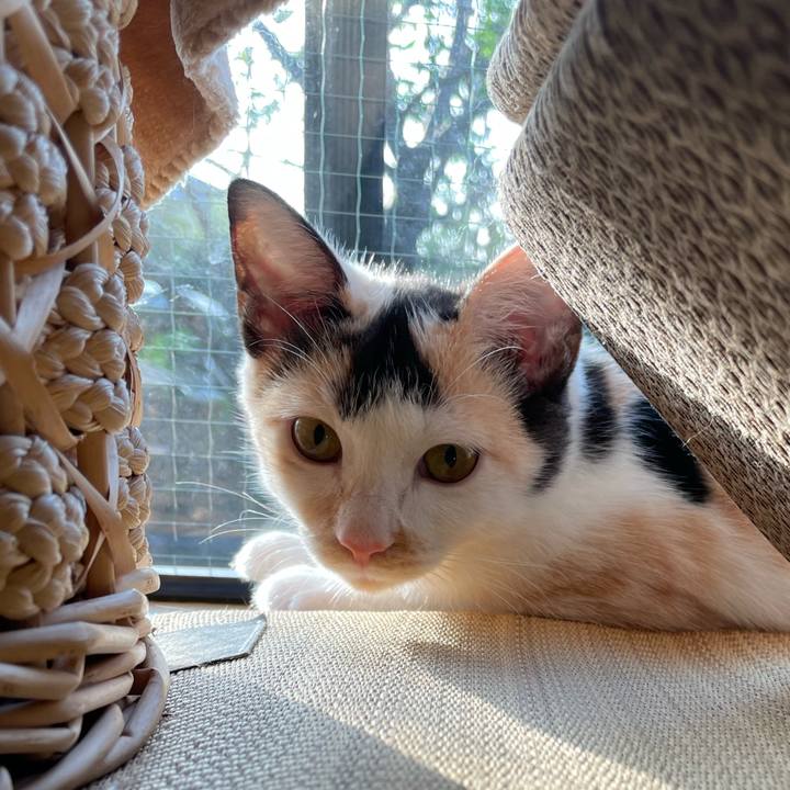 Ae1186e2 b9ae 4213 8518 c83896fc1fdd 1664229904572