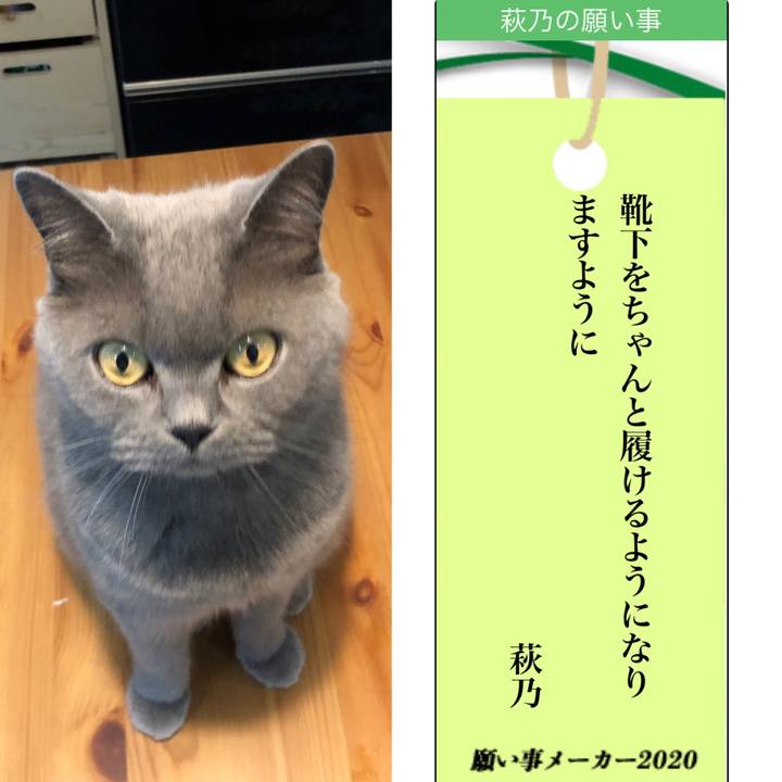 Ae118f94 9a3b 4511 8270 d75d706f5f3b 1594093697902