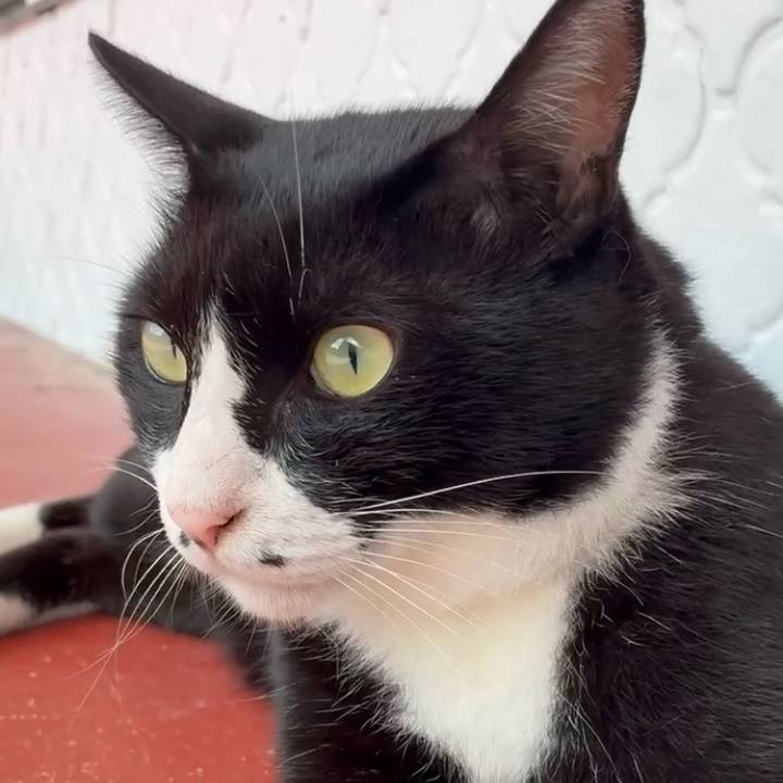 Ae11cc30 699b 43d9 90e9 b16134122716 1755053969292