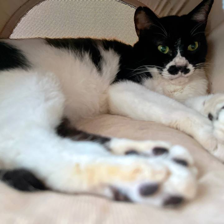 Ae11e29f 2b10 43b7 8d9f 4874d38d313b 1686054518448