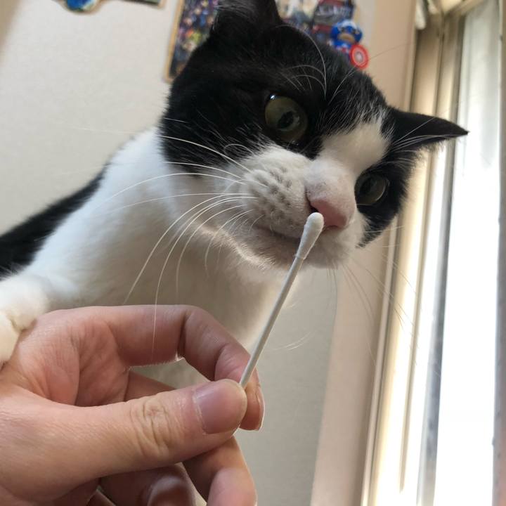 Ae123300 ce4d 4912 8111 33bbdeeef6d0 1547859553286