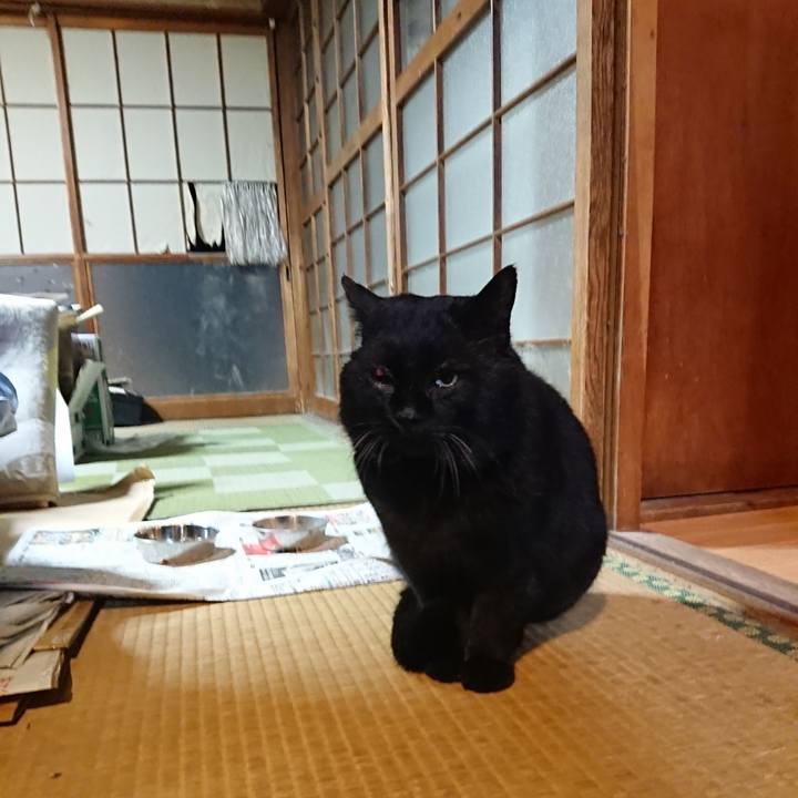 Ae1239c0 d1fb 48c6 9744 d9805a8e474a 1615378406265