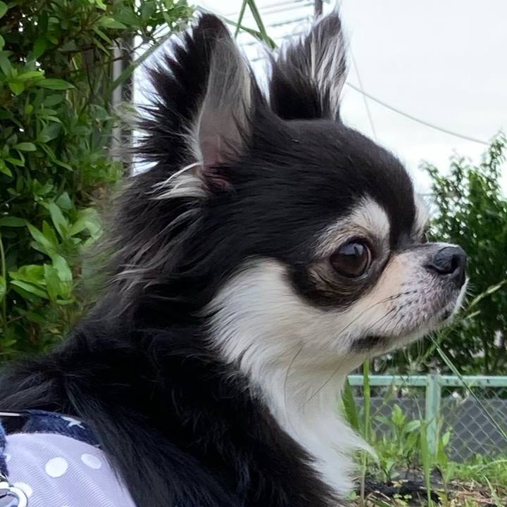 Ae124dc7 5dfe 42ae 844c 872cf4cd417c 1651238413772