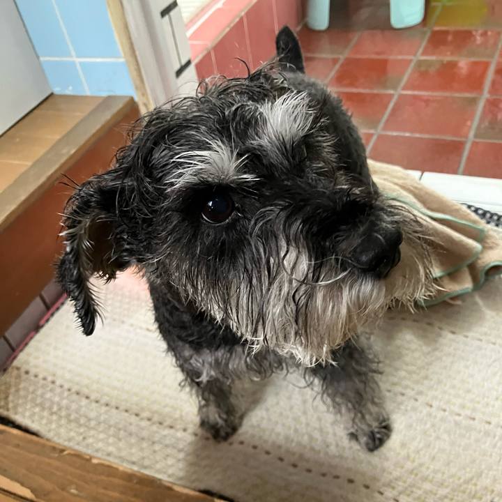 Ae12a7ef 99f3 4f1c 8b98 a04fdcb0ccc3 1732976553354