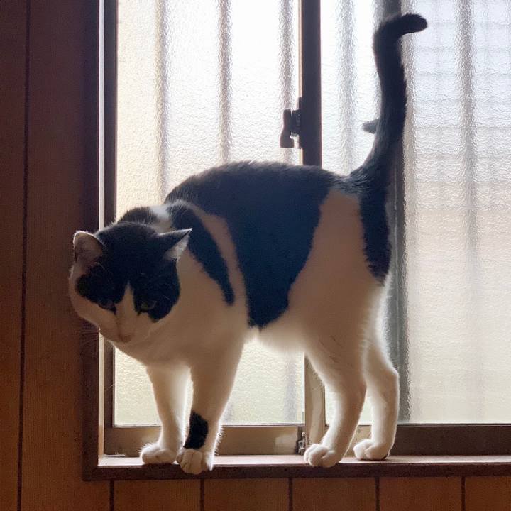 Ae12b515 d24c 476f a9bb aca7a556c76c 1548988810259