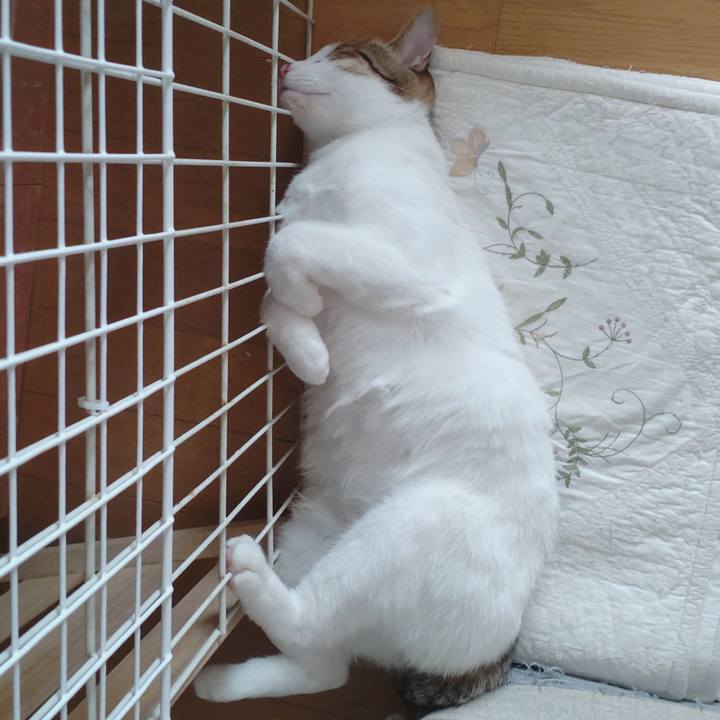 Ae131bdc f454 478c a8a0 929399c0d095 1683068321526