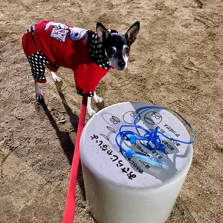 Ae131ce8 fef1 4324 b6b3 557e9db2c489 1610575592045