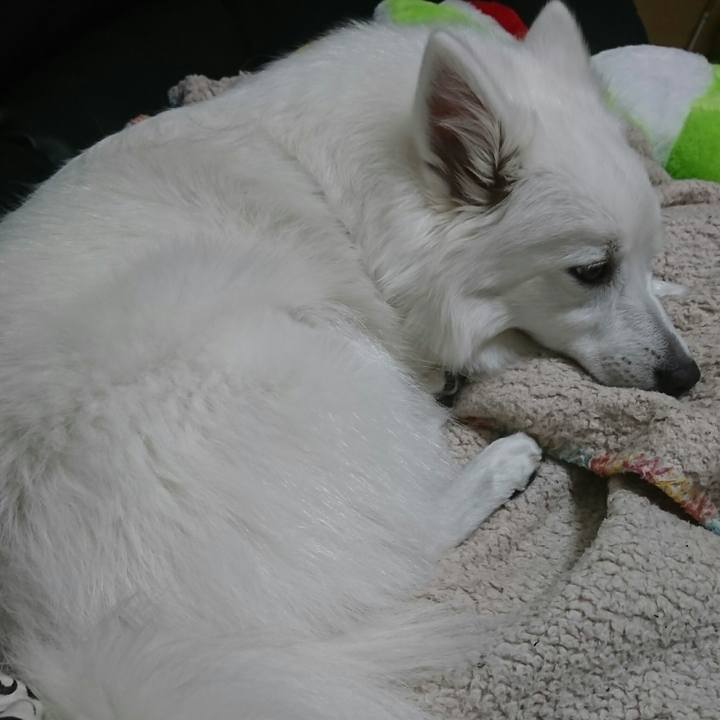 Ae133505 c417 4be7 af5c 9684ce5f49ef 1512967027287