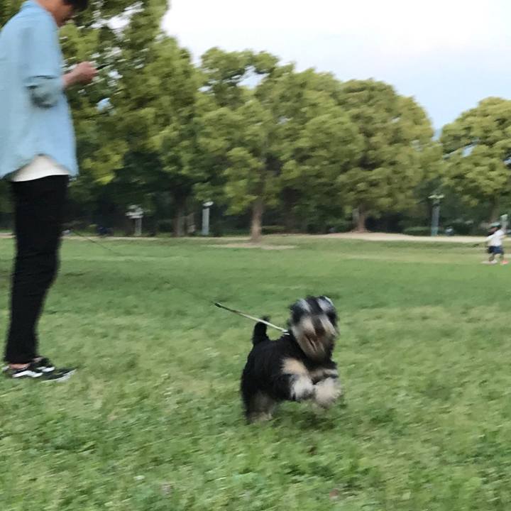 Ae133f55 2f12 4c26 8d59 c807fe21bcc5 1557667608853