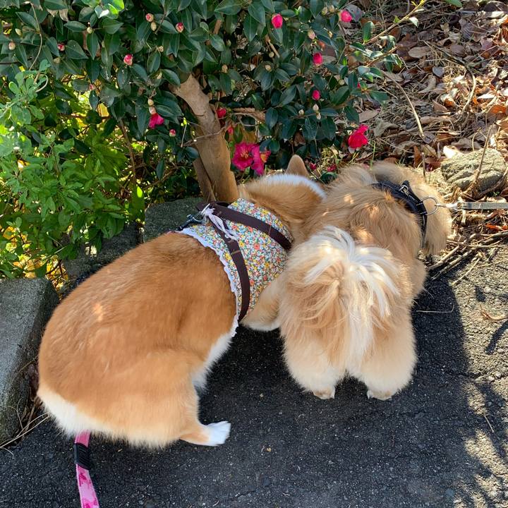 Ae134527 295a 4169 817a 7405a237678d 1670123285569