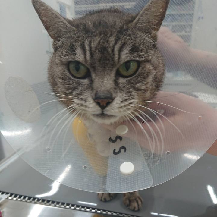 Ae134b3d 8b31 42a8 92a7 ee02b77e6cf8 1586250247512