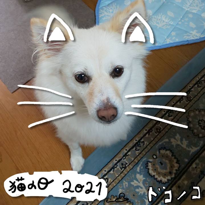 Ae136111 0823 4168 8b08 aa6e85473c7b 1613966049158