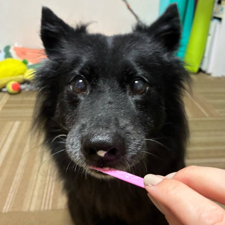 Ae1361cb 0340 40f7 9af8 b00d1b03336c 1759758793597