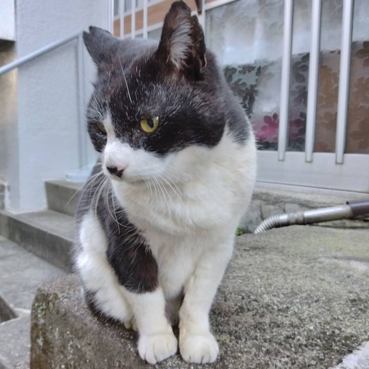 Ae137f0b 6efd 4171 a471 20beaa253b20 1703200959889