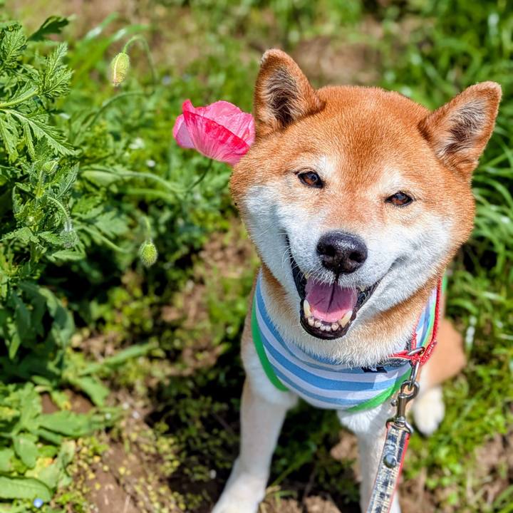 Ae13ba60 bc36 4147 b250 4cacbca1f669 1746593948119