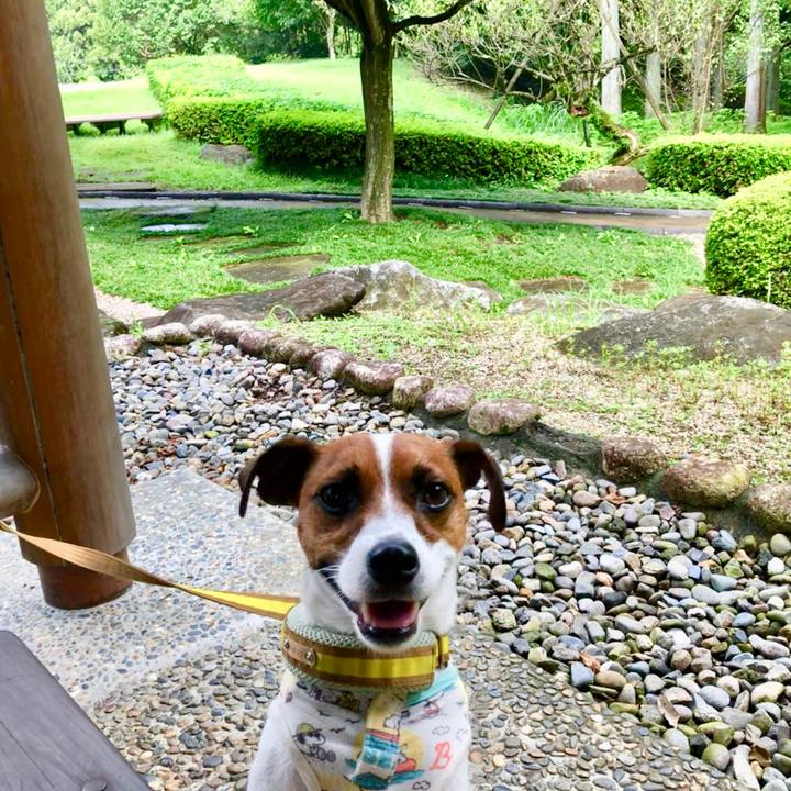 Ae13cba4 5081 40a2 bfe0 b090e23844e7 1567209117929