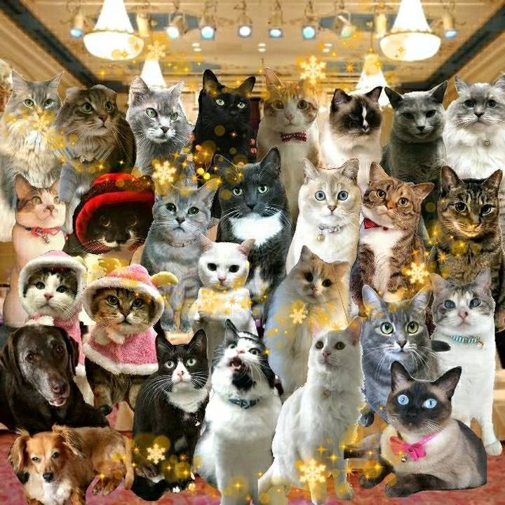 Ae13e3d0 b9ed 4170 bf8f 6276cab9c717 1544868404095