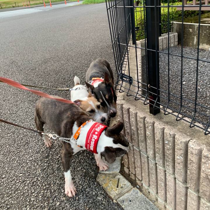 Ae142d01 5b28 45bf ae22 b05697a01618 1597577135006