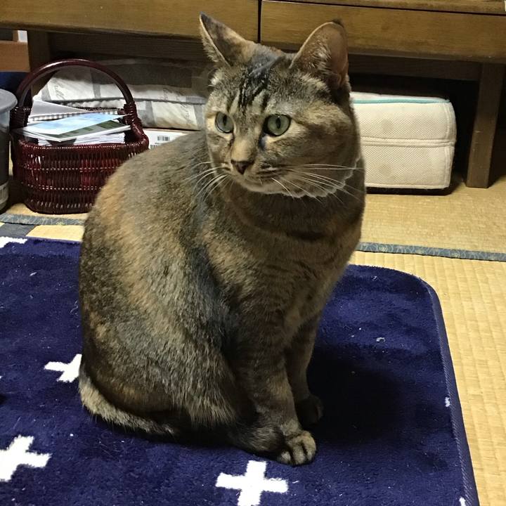 Ae14353c 278b 4a33 b644 67bfc4c0b74f 1737113802308